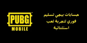 ببجي تسليم فوري
