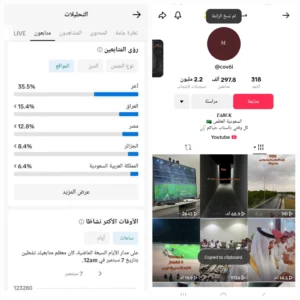 حساب تيك توك 297 الف متابع