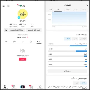 حساب تيك توك سعودي ١٢ الف
