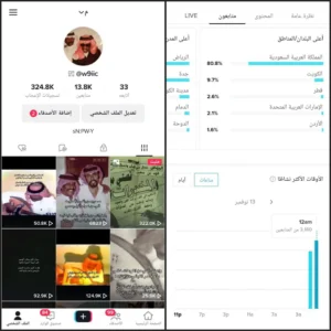 حساب تيكتوك 13 الف