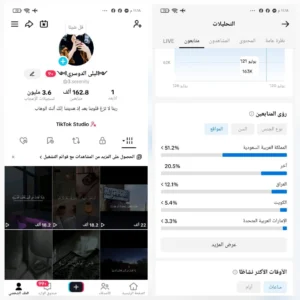 حساب تيك توك 162 الف