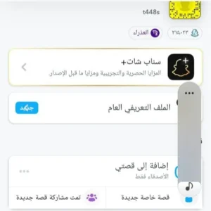 حساب سناب 315 الف