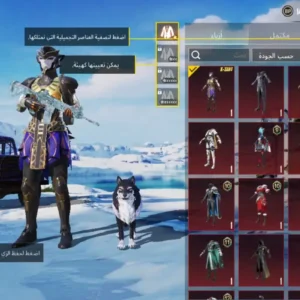 حساب ببجي ليفل 66