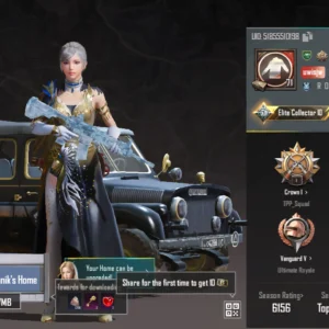 حساب ببجي ليفل 71