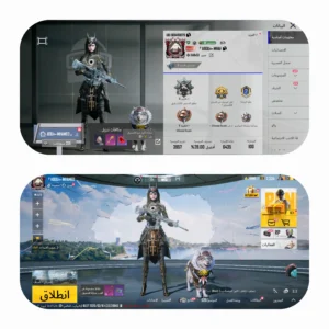 ببجي ليفل 69