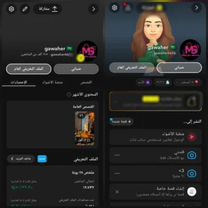 سناب 13 الف متابع