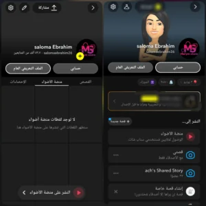 سناب 53 الف متابع