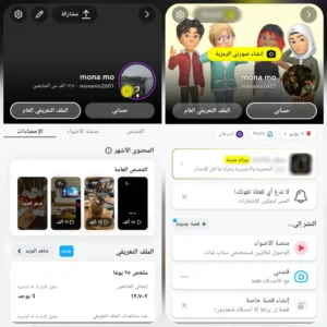 13 الف متابع +40 الف اسكور(نقاط)